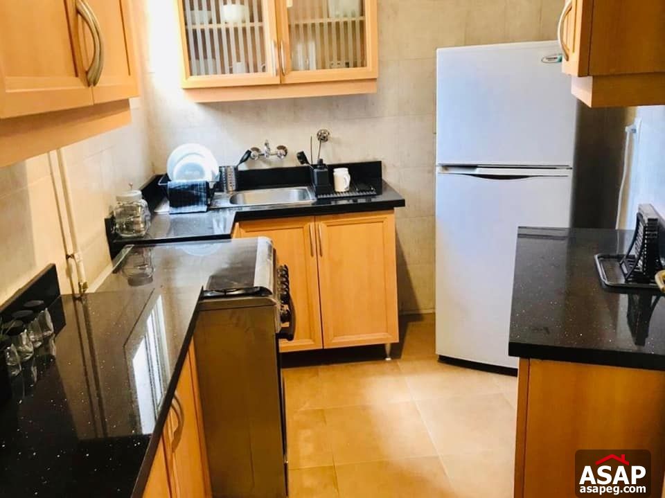 Apartment for Rent in Zamalek Apartment for Rent in Zamalek