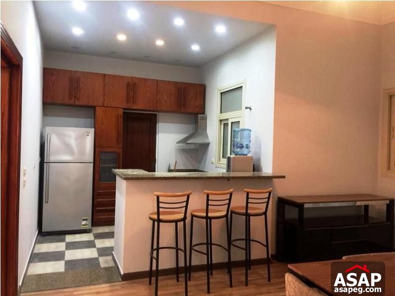 Furnished Apartment with Terrace for Rent in Zamalek Furnished Apartment with Terrace for Rent in Zamalek