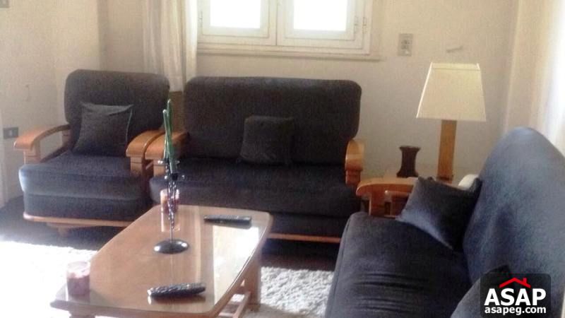Apartment for Rent in Zamalek Apartment for Rent in Zamalek