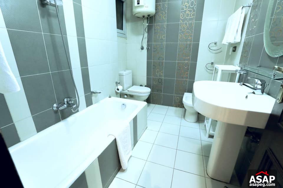 Apartment for Rent in Zamalek Apartment for Rent in Zamalek