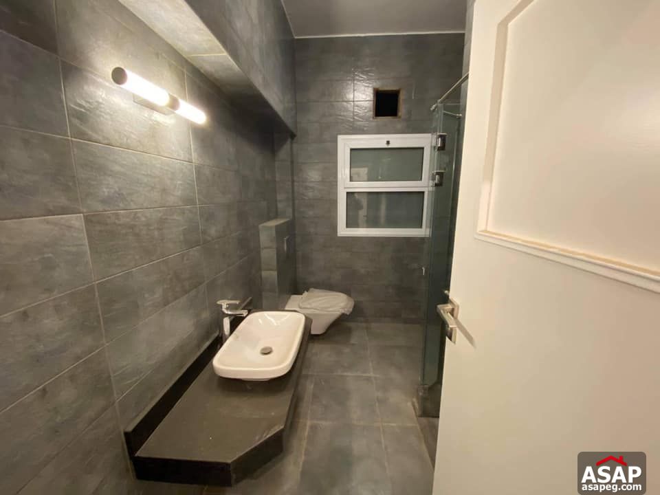 Apartment for Rent in Zamalek Apartment for Rent in Zamalek