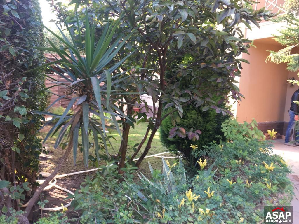 Ground Floor for Rent in Katameya Heights