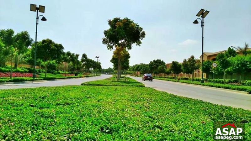 Villa with Big Garden for Rent in Mivida Villa with Big Garden for Rent in Mivida