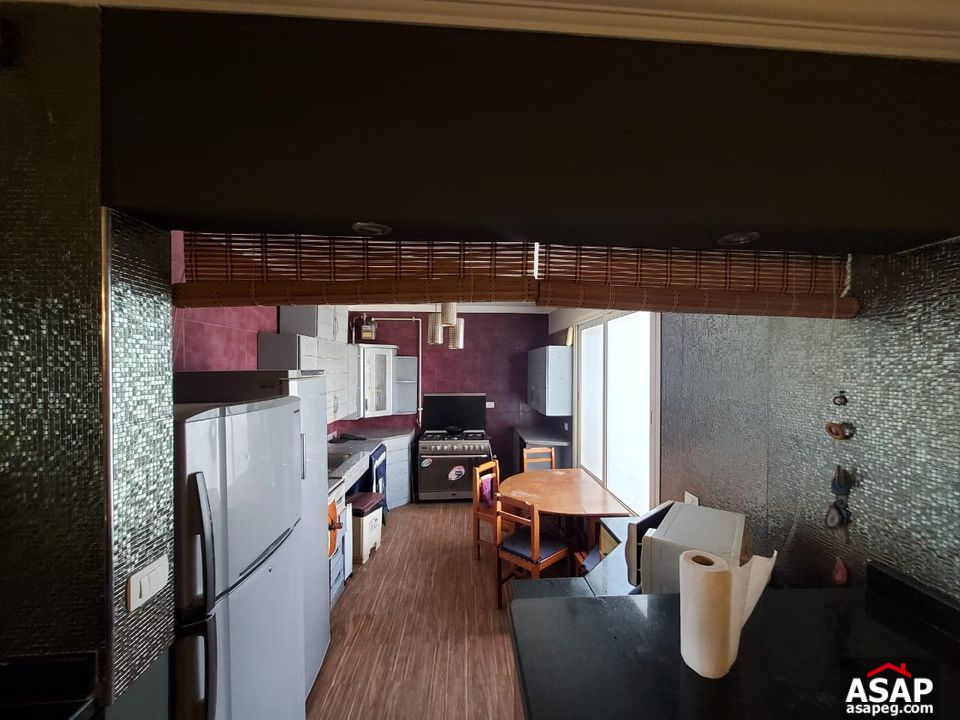 Penthouse for Rent in Park View