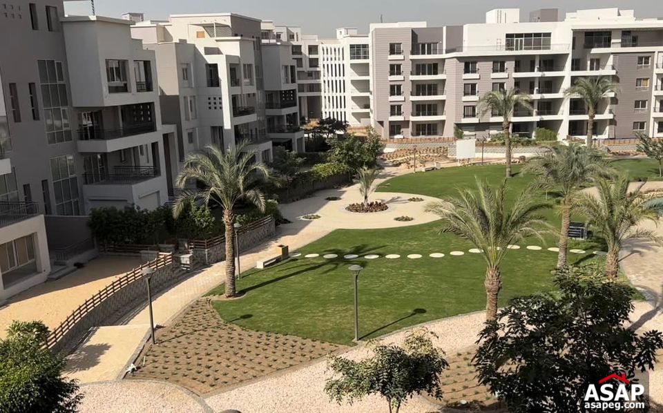 Duplex with Roof for Rent in CFC Duplex with Roof for Rent in CFC