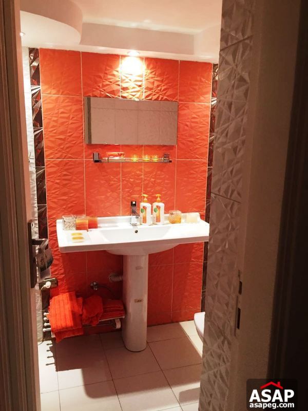 Apartment for Rent in Zamalek Apartment for Rent in Zamalek