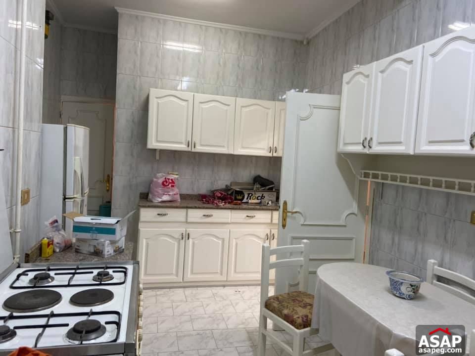 Apartment for Rent in Zamalek Apartment for Rent in Zamalek