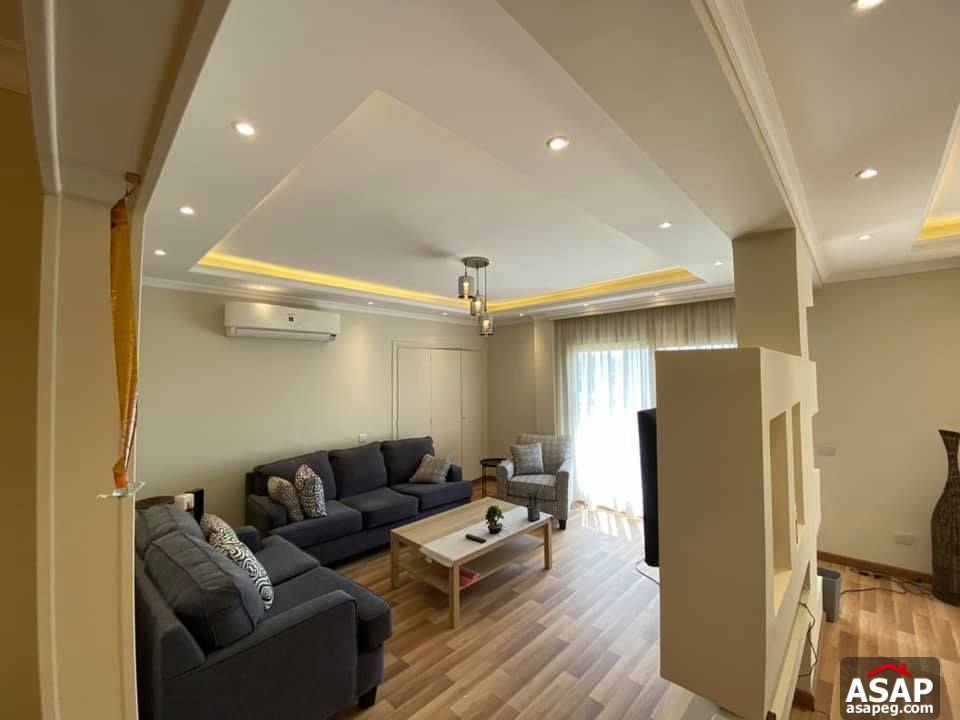 Apartment for Rent in Zamalek Apartment for Rent in Zamalek