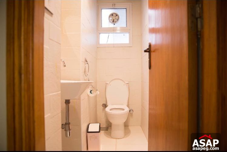 Luxury Apartment for Rent in Zamalek