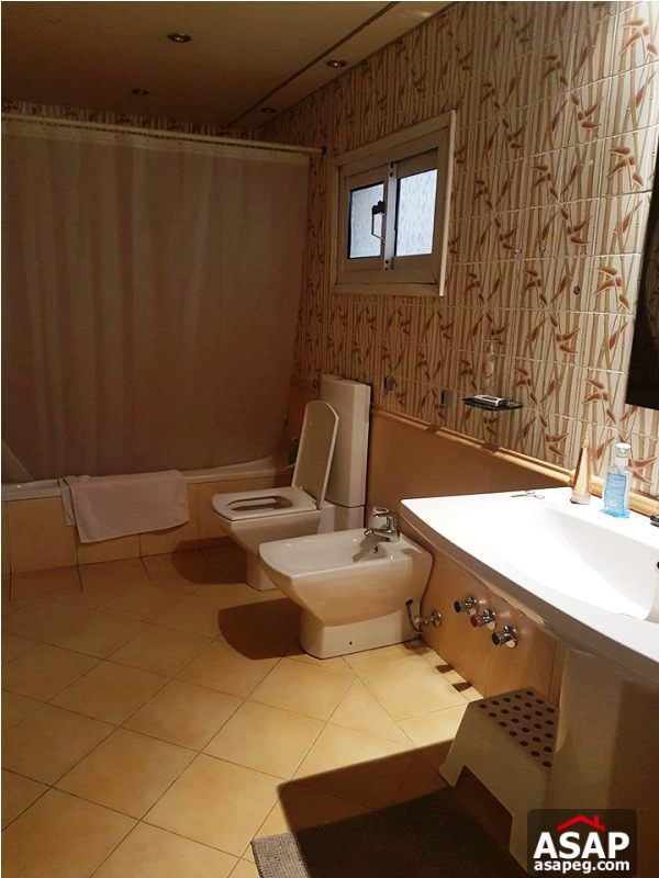 Nice Property for Rent in Zamalek Nice Property for Rent in Zamalek