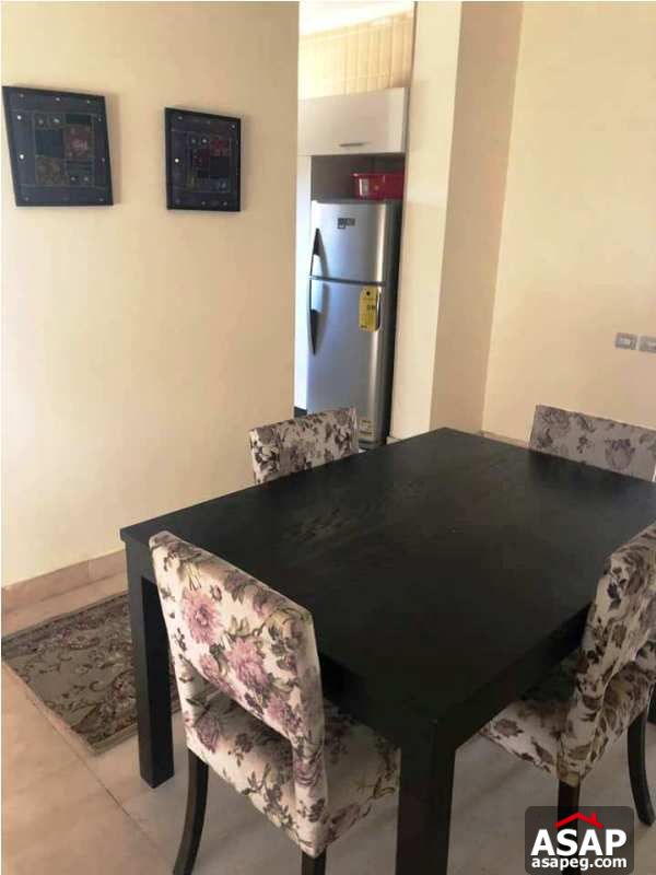 Studio for Rent in the Village Palm Hills Studio for Rent in the Village Palm Hills