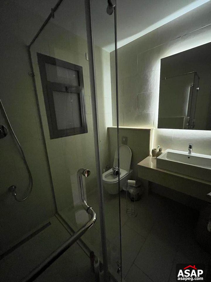 Furnished Apartment for Rent in Eastown Furnished Apartment for Rent in Eastown