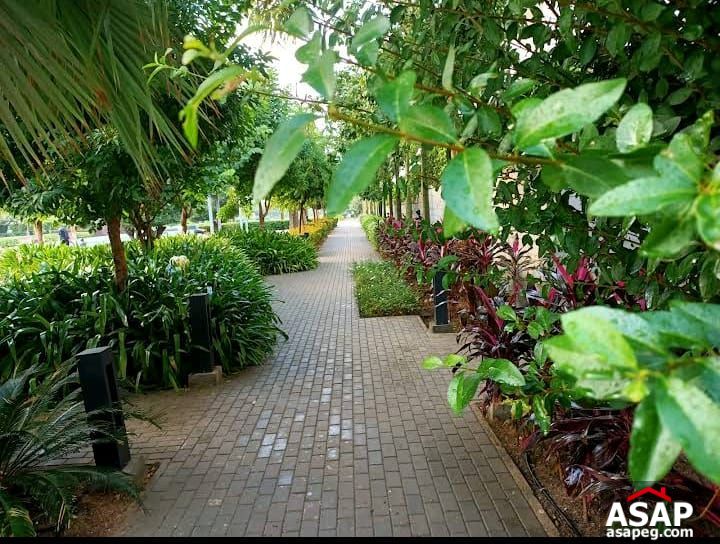 Apartment for Sale in Lake View Residence Apartment for Sale in Lake View Residence