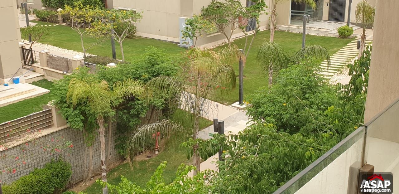 Studio for Rent in Village Gate Palm Hills Studio for Rent in Village Gate Palm Hills