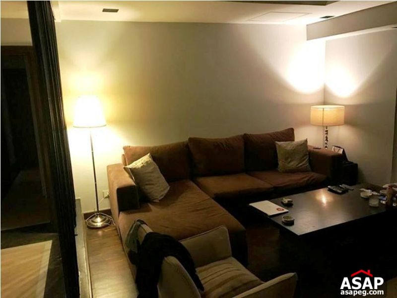 Apartment with Nile View for Rent in Zamalek Apartment with Nile View for Rent in Zamalek