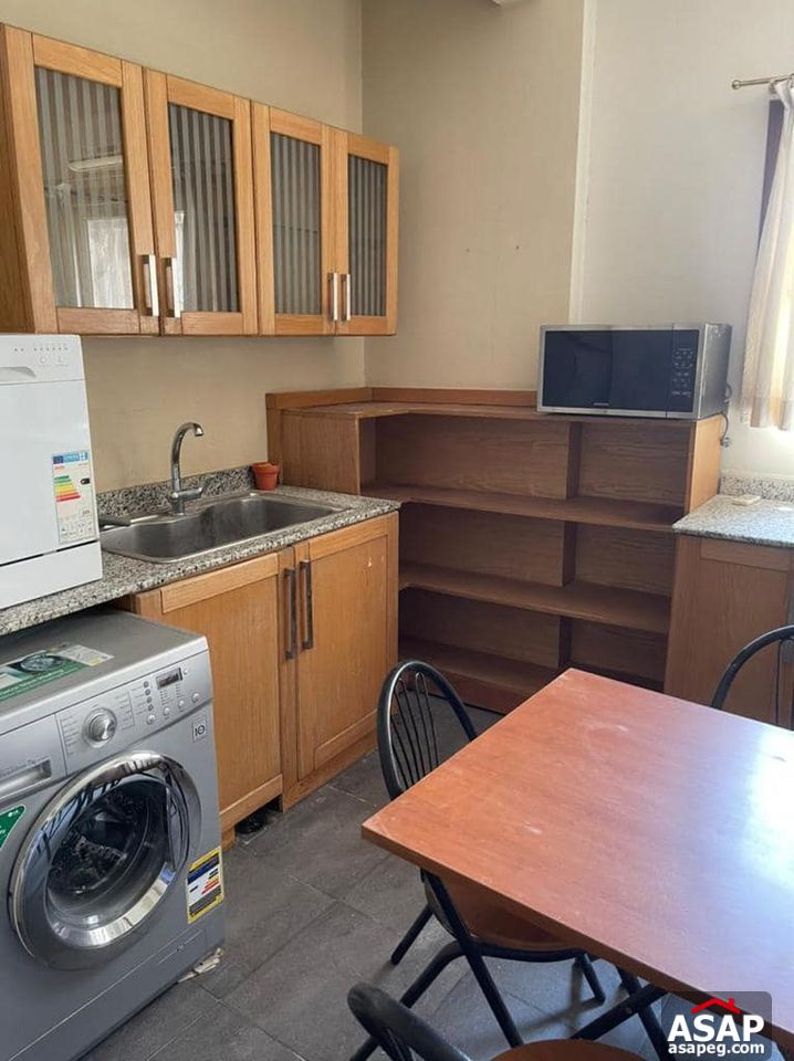 Apartment with Nile View for Rent in Zamalek