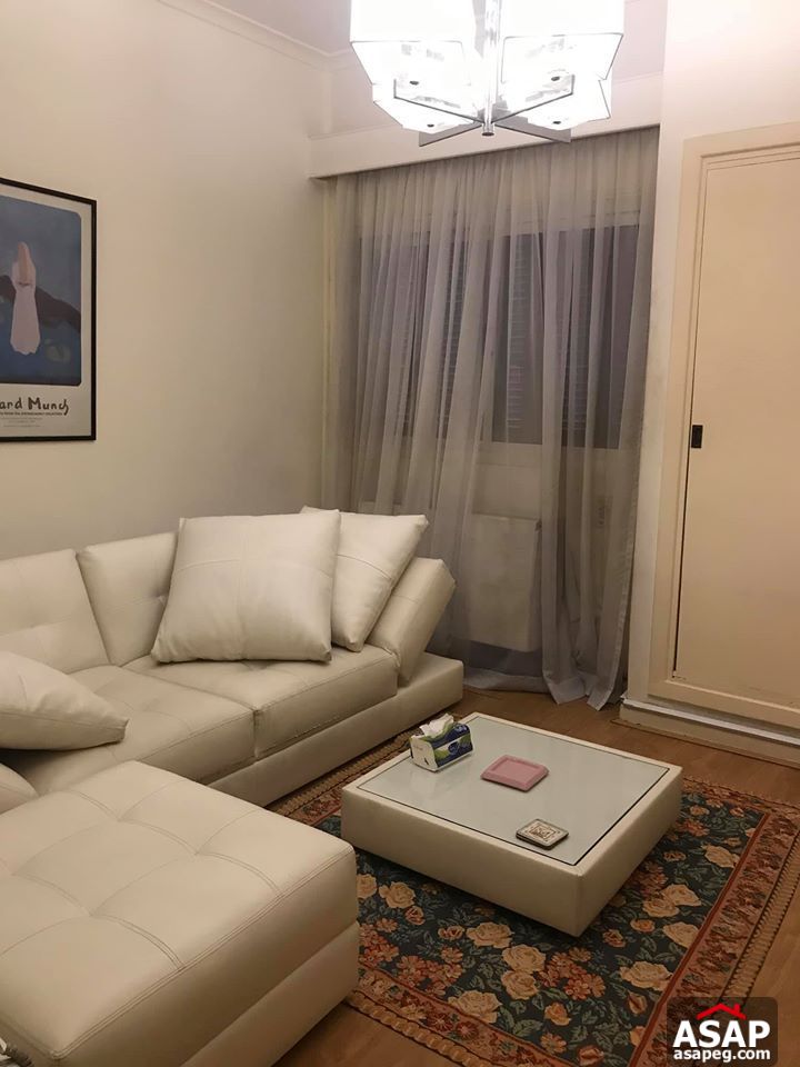 Apartment for Rent in Zamalek Apartment for Rent in Zamalek