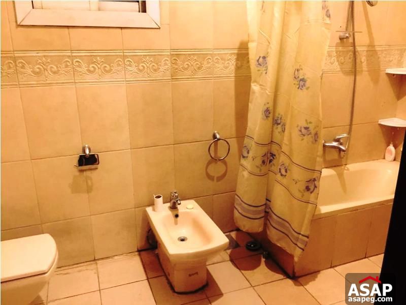 Apartments for Sale in Zamalek Apartments for Sale in Zamalek