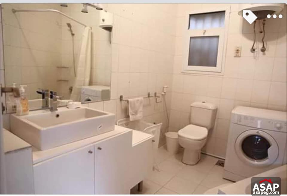 Apartment for Rent in Zamalek Apartment for Rent in Zamalek