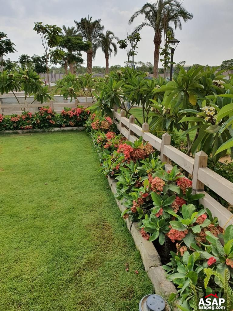 Ground Floor for Rent in Cairo Festival City Ground Floor for Rent in Cairo Festival City