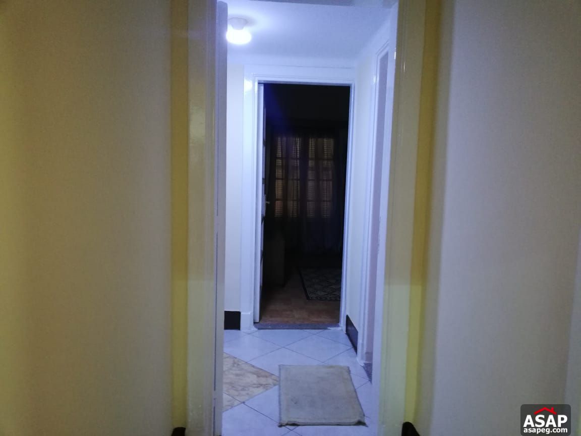 Furnished Flat for Rent in Zamalek Furnished Flat for Rent in Zamalek