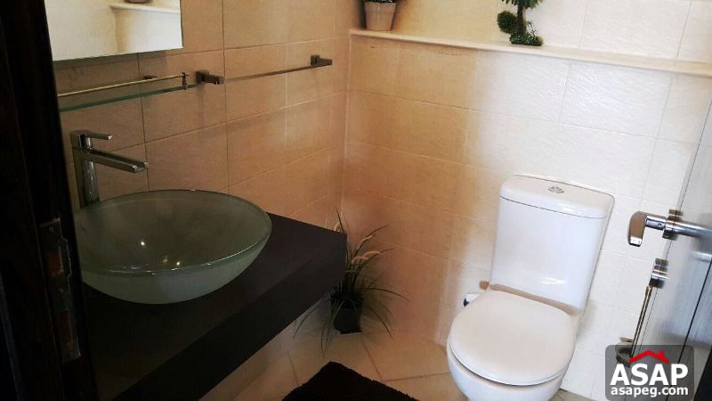 Apartment for Rent in Katameya Plaza Apartment for Rent in Katameya Plaza