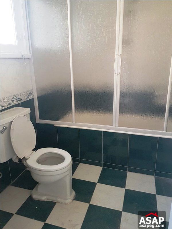 Apartment with Big Terrace in Zamalek for Rent Apartment with Big Terrace in Zamalek for Rent