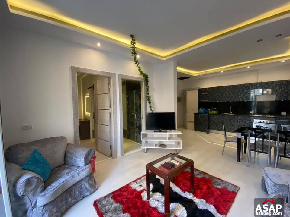 Apartment for Rent in Zamalek Apartment for Rent in Zamalek