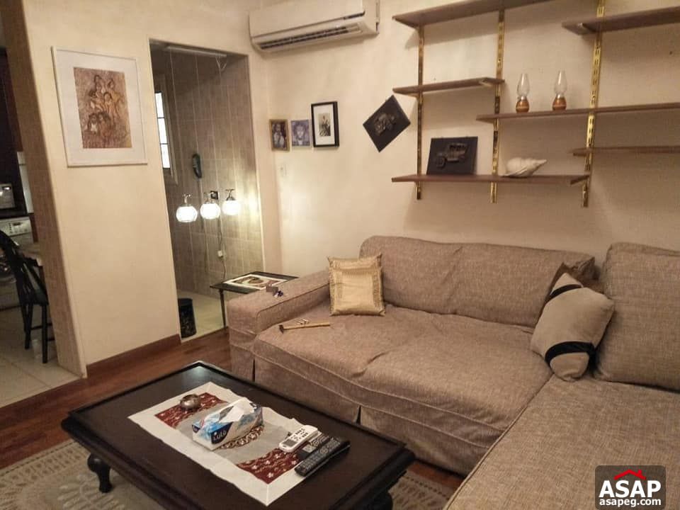 Apartment for Rent in Zamalek - Cairo