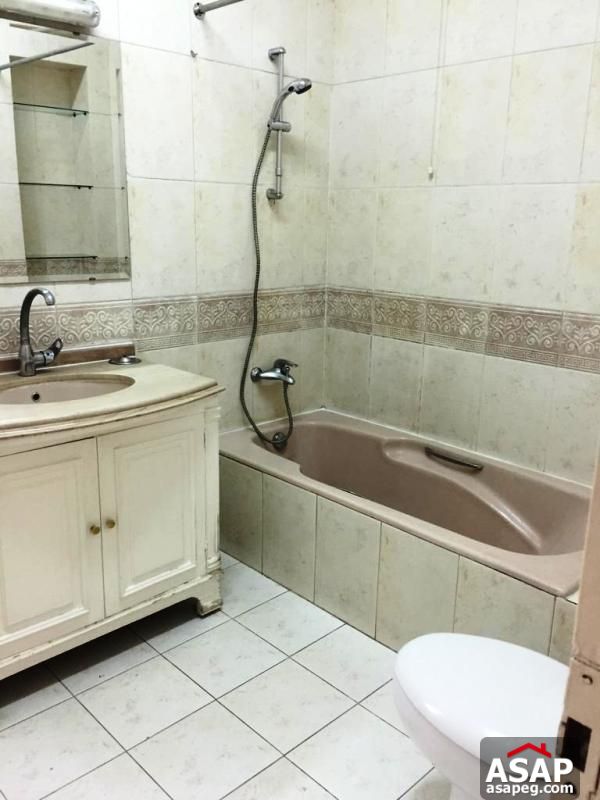 Flat with Nile View in Zamalek