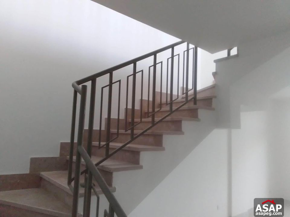 Penthouse for Rent in Fifth Square Penthouse for Rent in Fifth Square