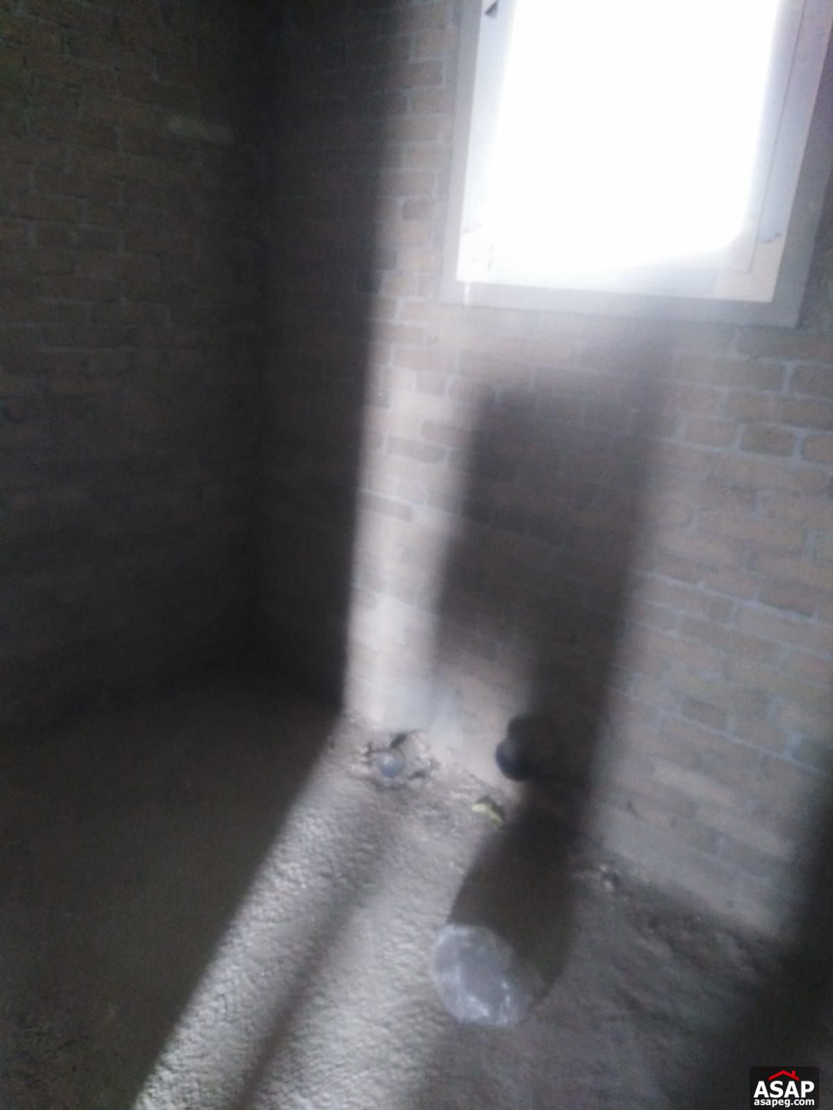 Apartment for Sale in Taj City Apartment for Sale in Taj City