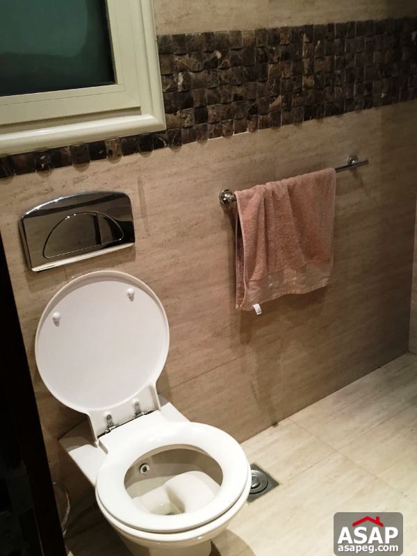 Duplex with Big Garden in Lake View for Rent Duplex with Big Garden in Lake View for Rent