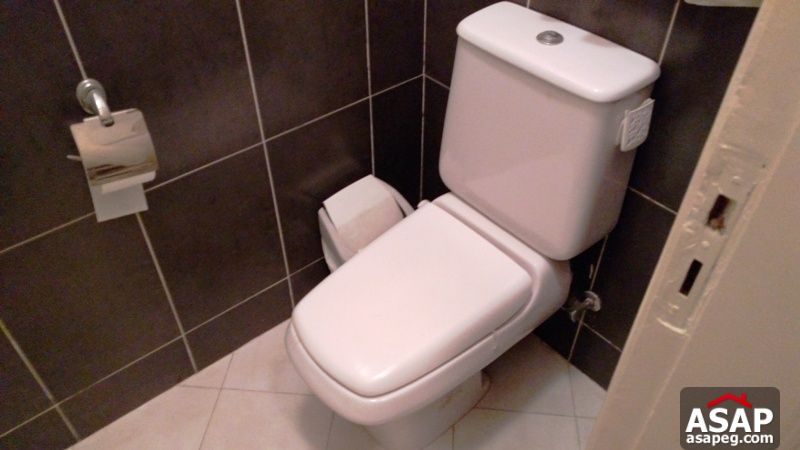 Modern Apartment for Rent in Zamalek Modern Apartment for Rent in Zamalek