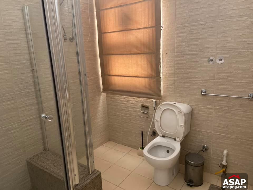 Apartment for Rent in Zamalek Apartment for Rent in Zamalek