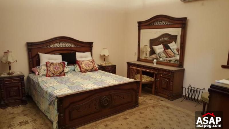 Furnished Apartment in Maadi Degla