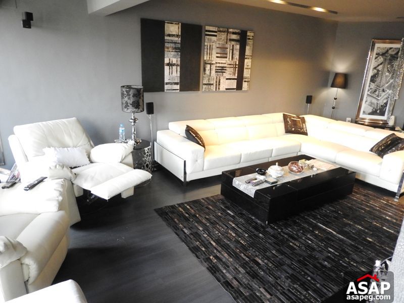 Apartment for rent in zamalek Apartment for rent in zamalek