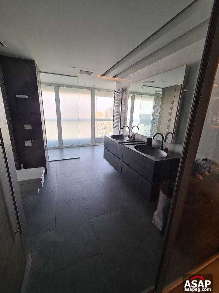 Amazing Apartment for Rent in Zamalek Amazing Apartment for Rent in Zamalek