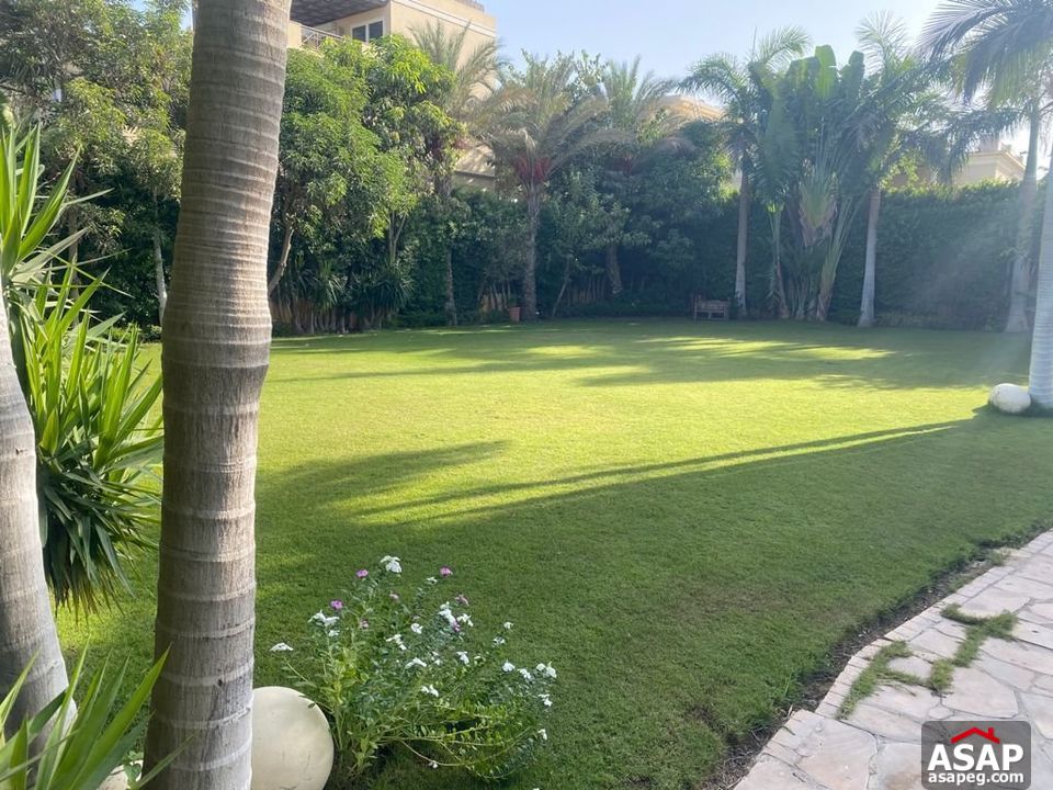 Villa for Rent in Belle Ville Compound Villa for Rent in Belle Ville Compound