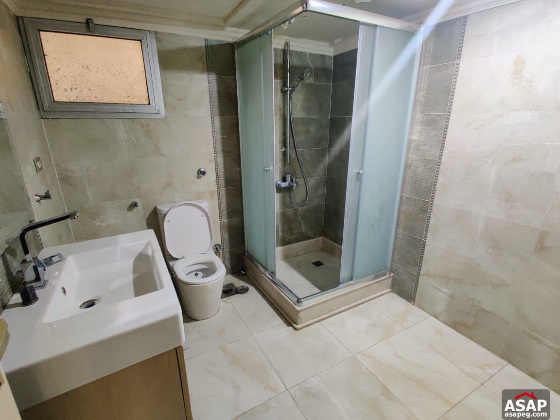 Apartment for Rent in Zamalek Apartment for Rent in Zamalek