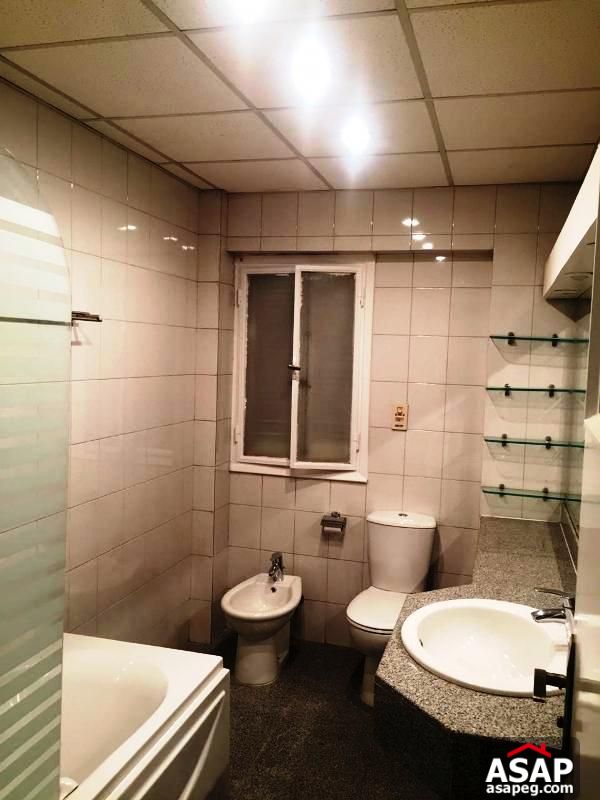 Apartment for Rent in Zamalek Apartment for Rent in Zamalek