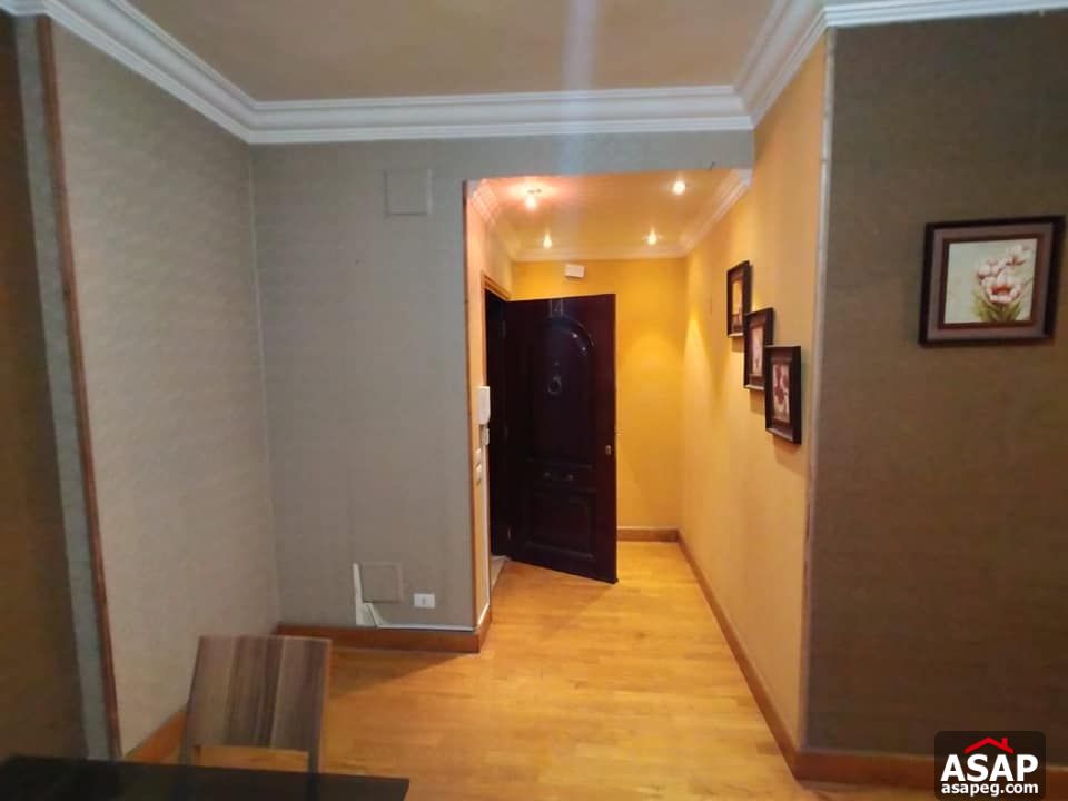 Apartment for Rent in Zamalek Apartment for Rent in Zamalek