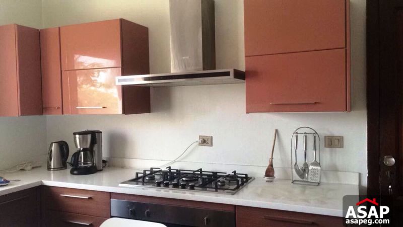 Villa for Rent in Katameya Heights Villa for Rent in Katameya Heights