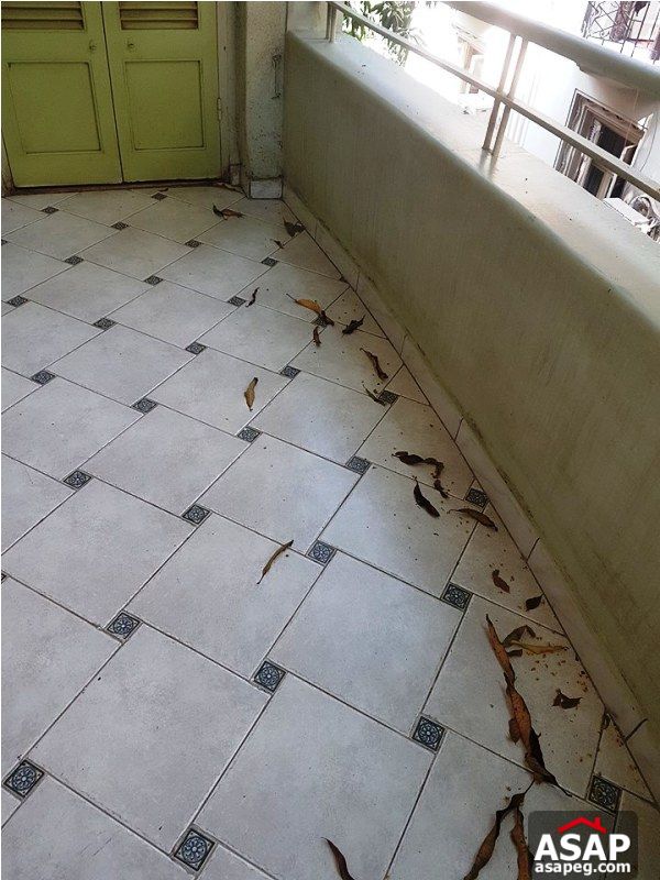 Apartment with Big Terrace for Rent in Zamalek Apartment with Big Terrace for Rent in Zamalek