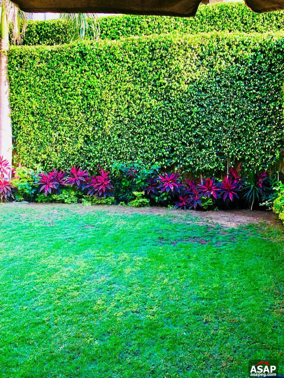 Duplex for Rent in El Patio 1 - New Cairo