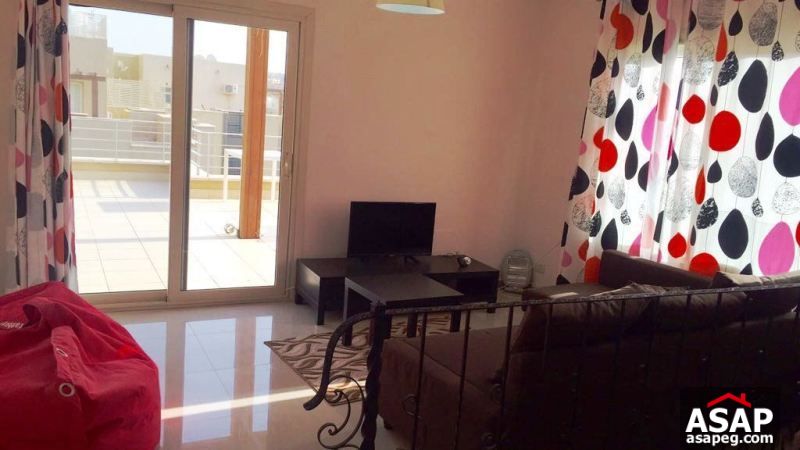 Furnished Penthouse for Rent in the Village Furnished Penthouse for Rent in the Village