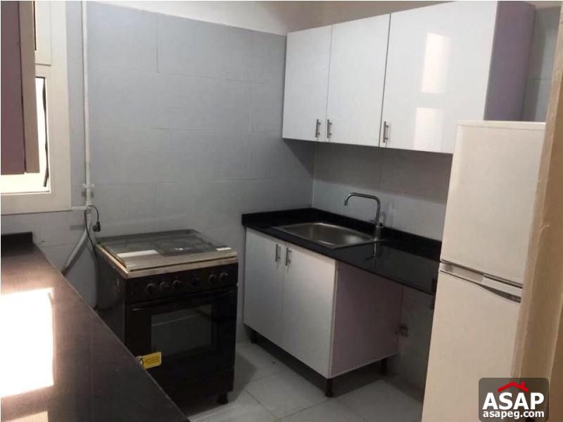 Apartment with Balcony for Rent in Zamalek Apartment with Balcony for Rent in Zamalek