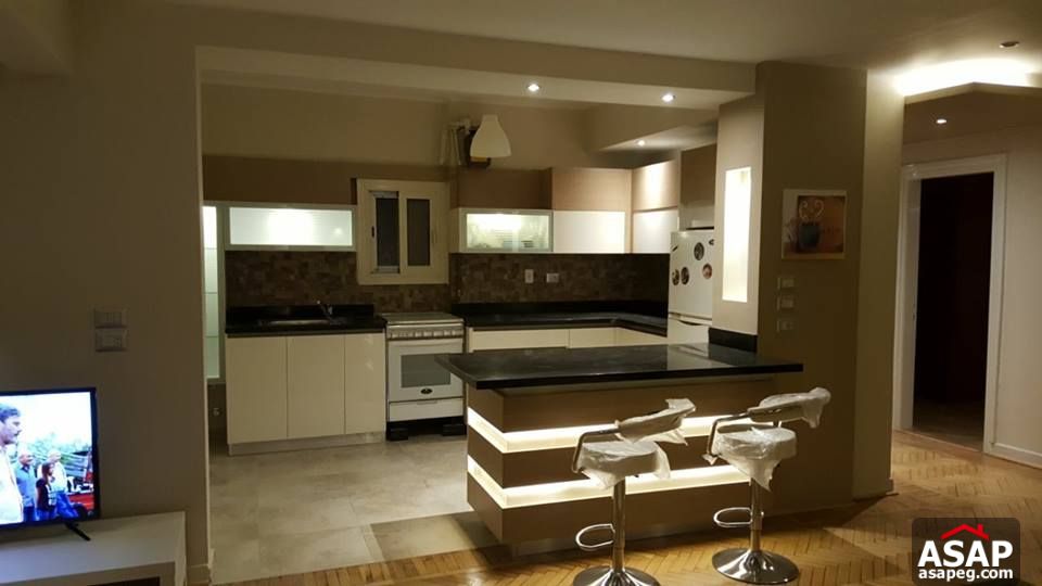 Apartment with Nile View for Rent in Zamalek Apartment with Nile View for Rent in Zamalek