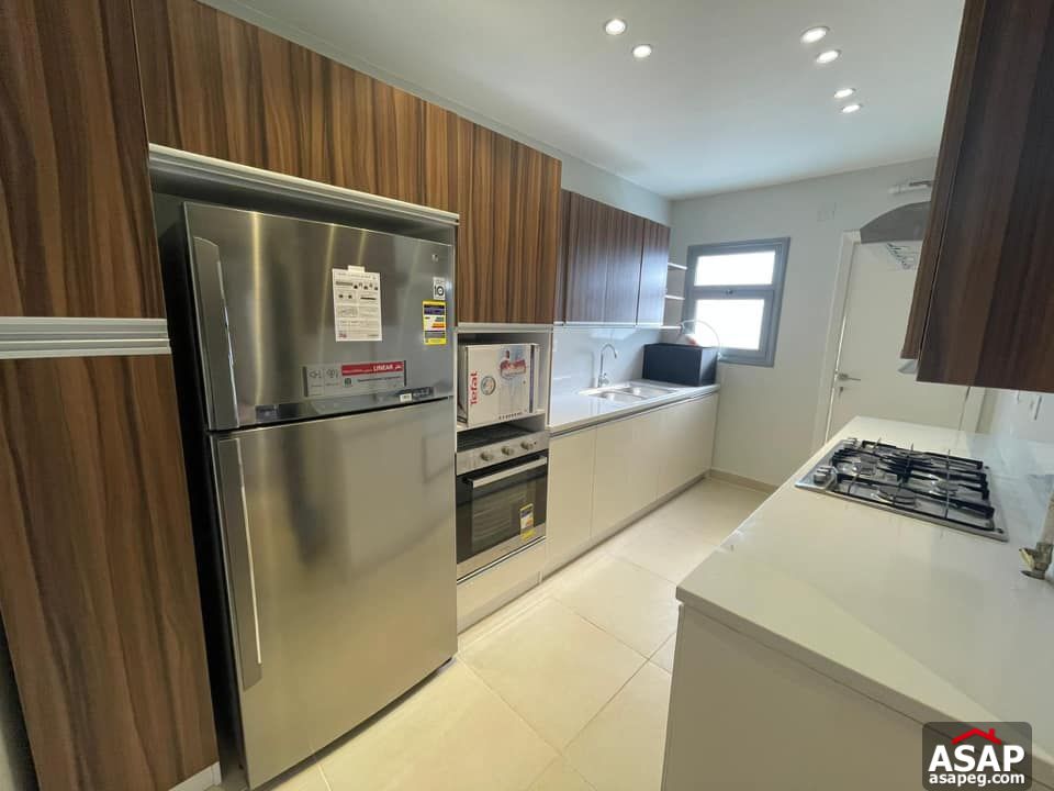 Apartment for Rent in Zamalek Apartment for Rent in Zamalek