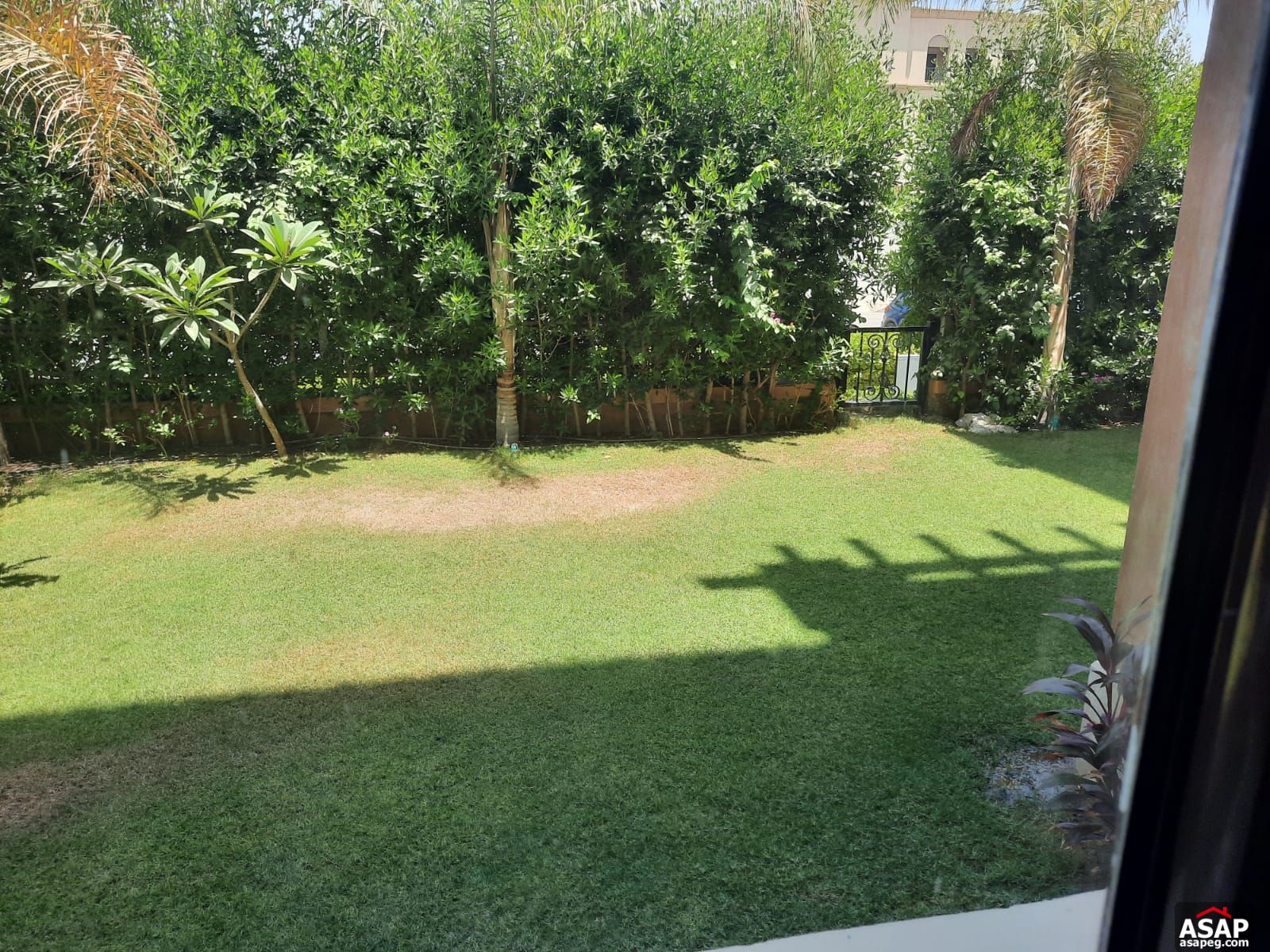 Apartment for rent in Mivida Compound Apartment for rent in Mivida Compound